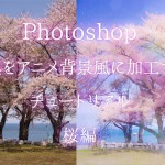 簡単！写真をアニメ背景風に加工するチュートリアル桜編：Photoshop