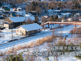【北海道無人駅】石勝線夕張支線・冬の清水沢駅と鹿ノ谷駅