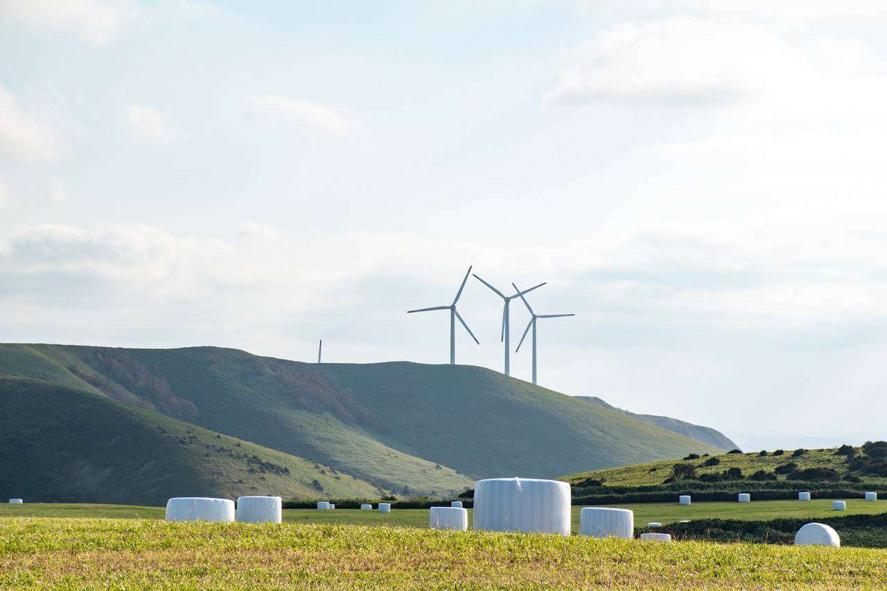 宗谷岬ウインドファームの風車群