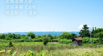 キャラクターネームを考え出す時に参考にする辞典とジェネレータ 小樽総合デザイン事務局 ホームページ制作 デザイン Lineスタンプ制作 キャラクターネームを考え出す時に参考にする辞典とジェネレータ 小樽総合デザイン事務局 ホームページ制作 デザイン Lineスタンプ制作